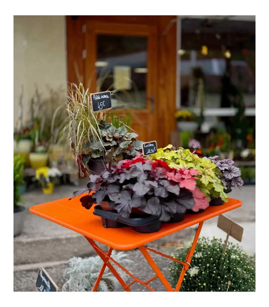desfleurs